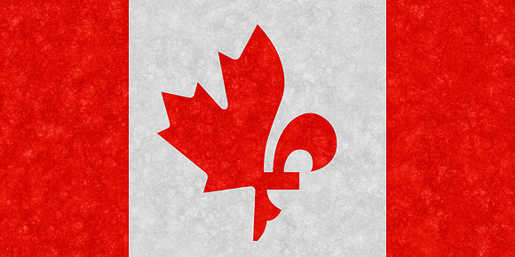 Velvet Flag - Maple Lily Canada