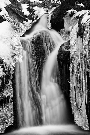 Frostbite Falls
