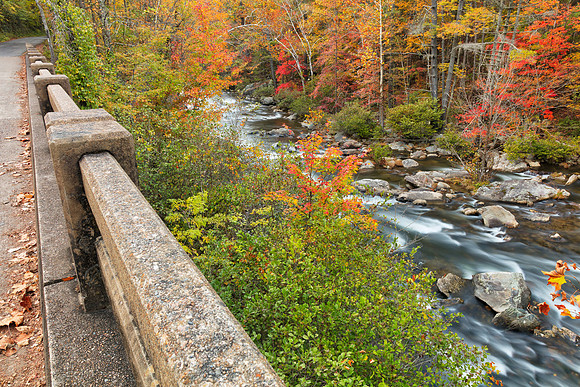 Autumn Bridge Overlook - Bald River