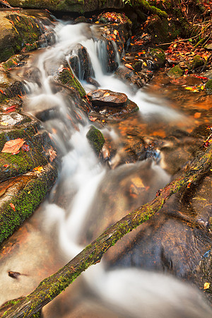 Hammer Branch Autumn Stream