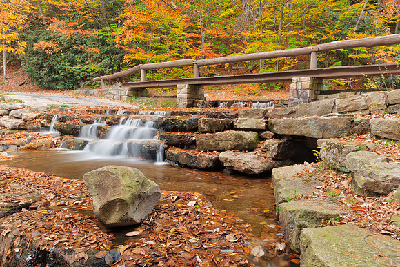 Autumn Roadside Cascades
