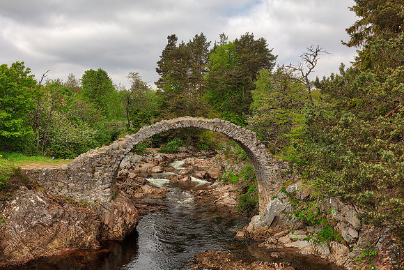 Ancient Carrbridge