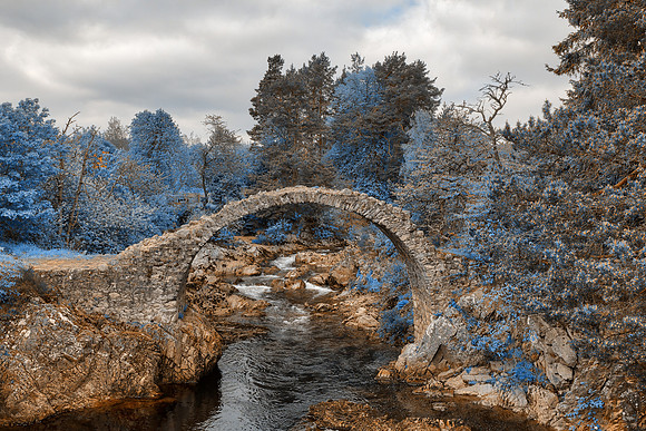 A Bridge Frozen in Time