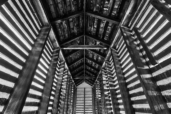 Dust Bug Chapel - Black & White