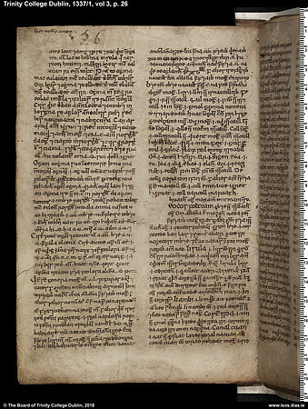 MS 1337 / Book of Ogams (page 26)