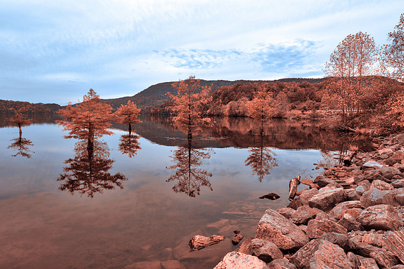 Ocoee Pastel Lake