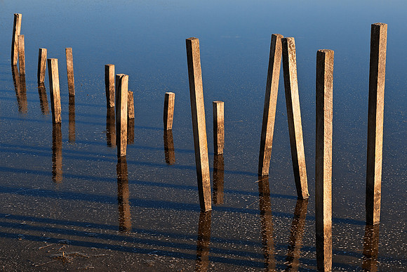 Walking Water Stilts