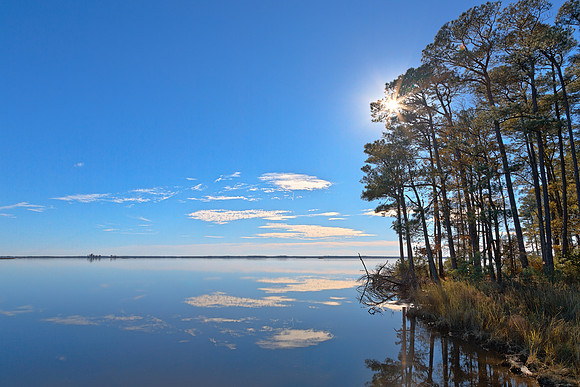 Blackwater Sunburst Marsh