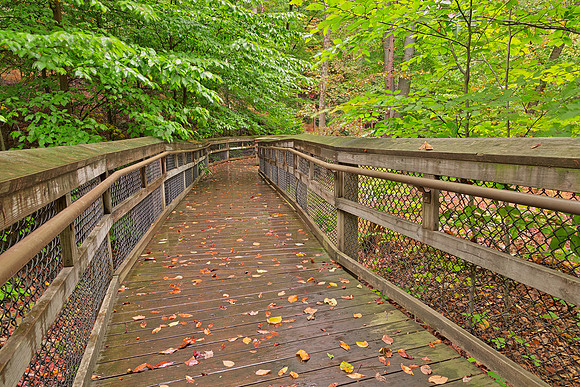 Catoctin Boardwalk Trail