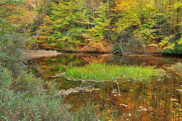 Autumn Pond of Hickory Run