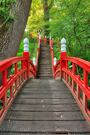 Japanese Bridge Path - Clyne Gardens