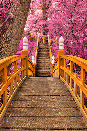 Clyne Wonderland Gardens