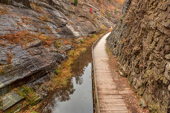 Paw Paw Boardwalk Trail