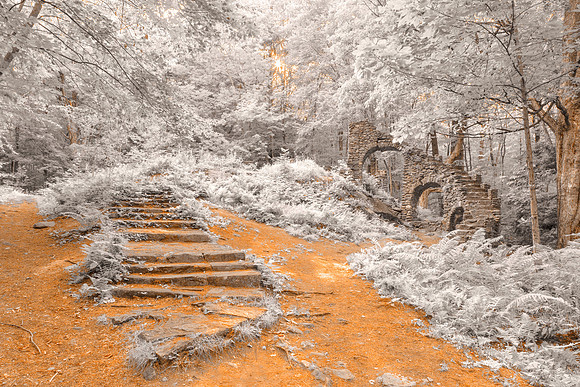 Forest Castle Ruins - Frosted Fantasy