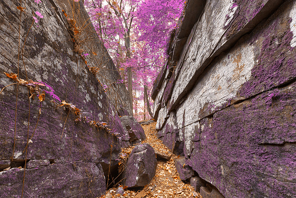 Gettysburg Grotto - Lavender Fantasy