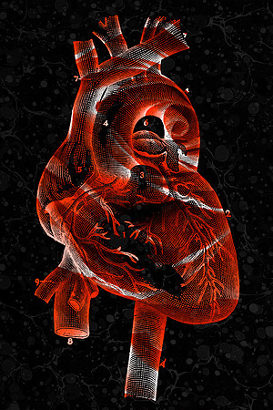 Vintage Rose Heart
