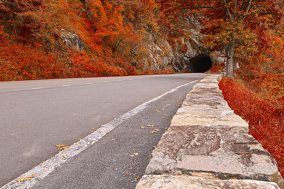 Shenandoah Skyline Tunnel Drive - Ruby Autumn