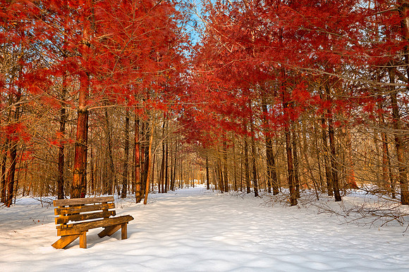 Ruby Winter Trail