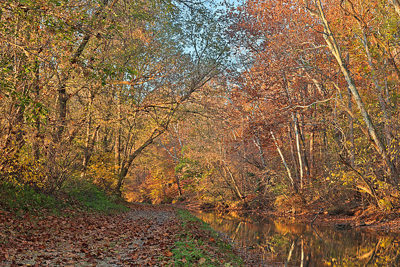 Autumn Pennyfield Canal