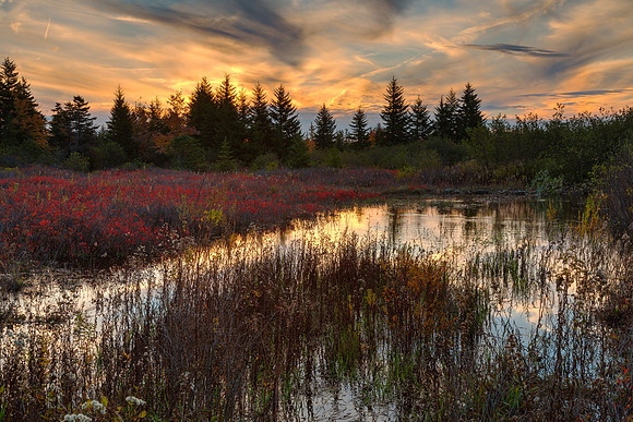 Autumn Dolly Sods Sunset