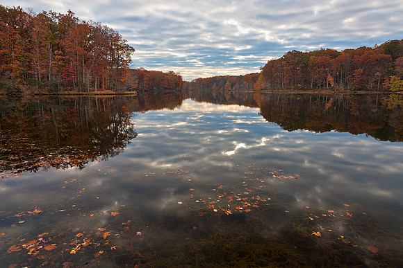 Seneca Fall Reflections