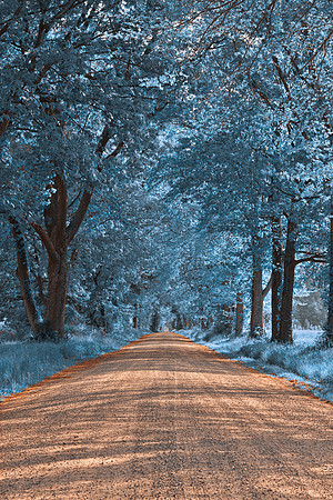 Wye Island Sapphire Road
