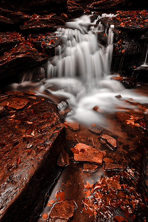 Low Key Autumn Falls