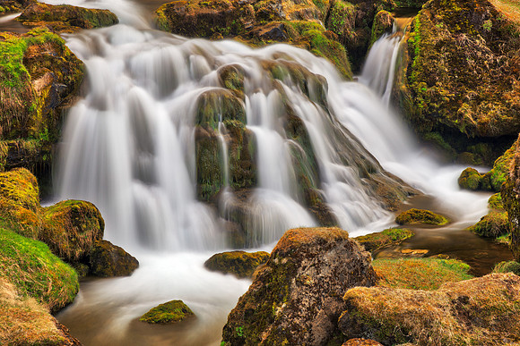 Iceland Moss Cascades