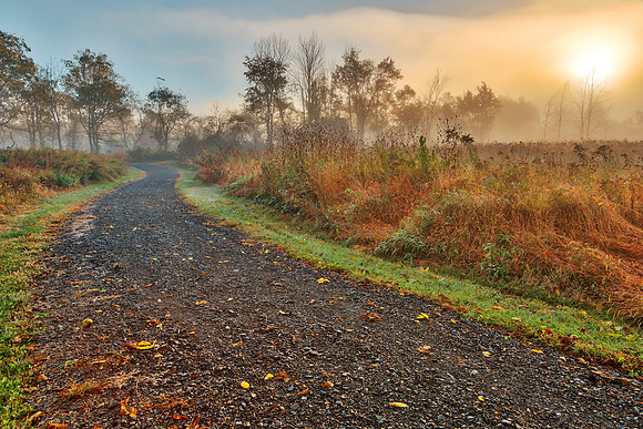 Misty McDade Sunrise