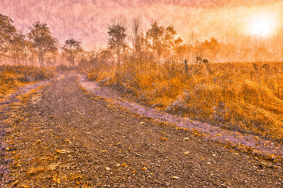 Misty McDade Sunrise - Pastel Velvet Fantasy