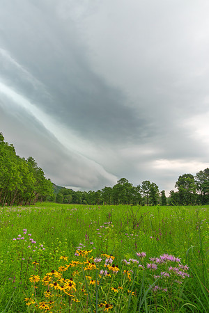 Brewing Summer Storm