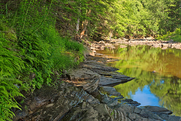 Loyalsock Creek