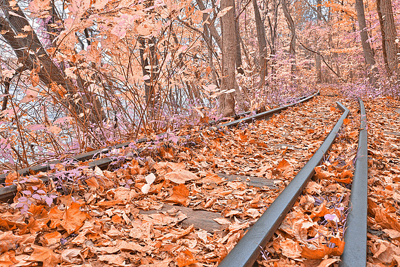 Abandoned Susquehanna Railroad - Fantasy Express