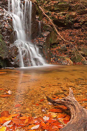 Avalon Hook Falls