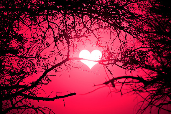 Pink Sunrise Love