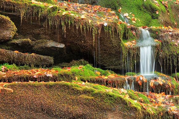 Autumn Moss Trickle