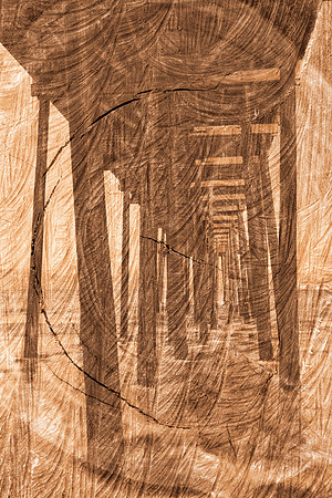 Weathered Wood Pylons