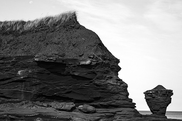 Mohawk Teapot Rock - Black & White