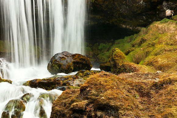 Iceland Ram Falls