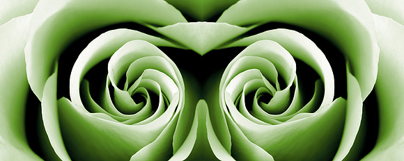 Reptilian Rose