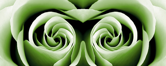 Reptilian Rose