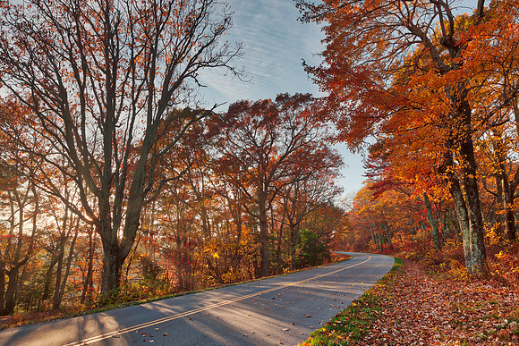 Autumn Blue Ridge Park Rays