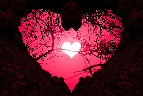 Nested Forest Love