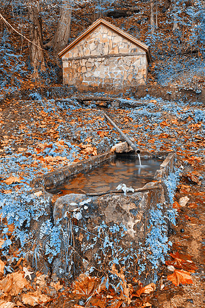 Rustic Autumn Freeze