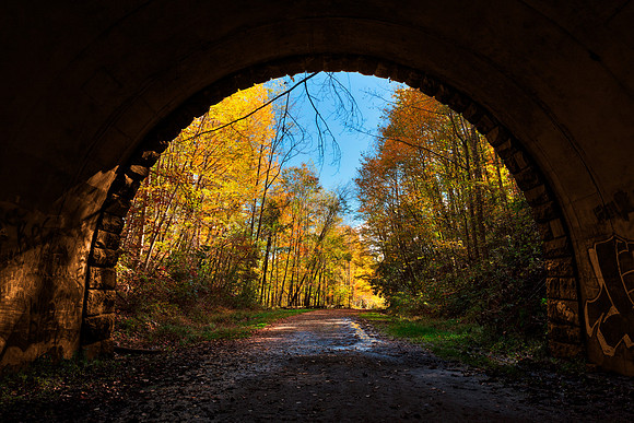 Autumn Tunnel to Nowhere