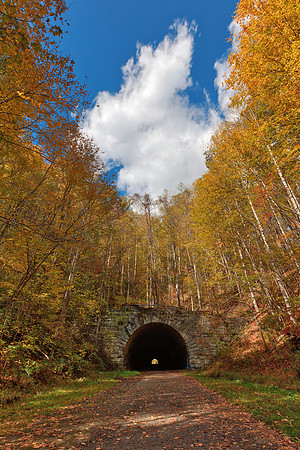 Forest Tunnel to Nowhere