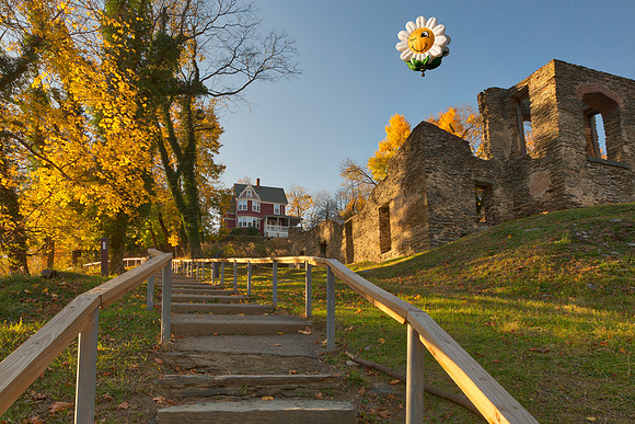 Harpers Happy Ferry