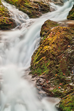 Dickson Fork Stream
