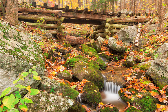 Autumn Logging Railroad Stream