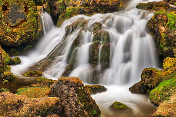 Happy Moss Falls